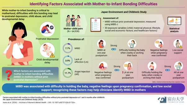 Mapping the Risk Factors for Mother-Infant Bonding Disorder
